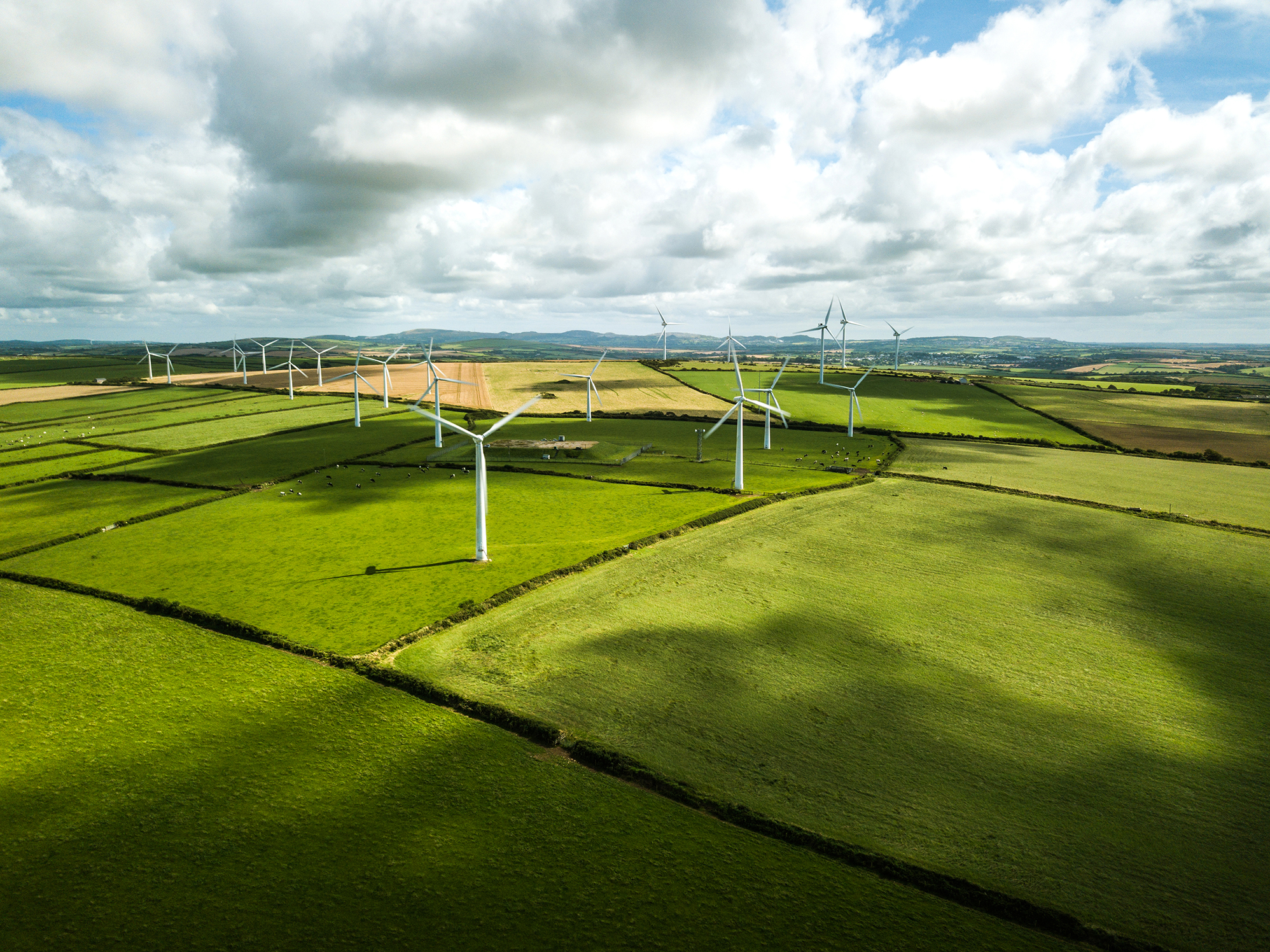 Green fields with wind turbines